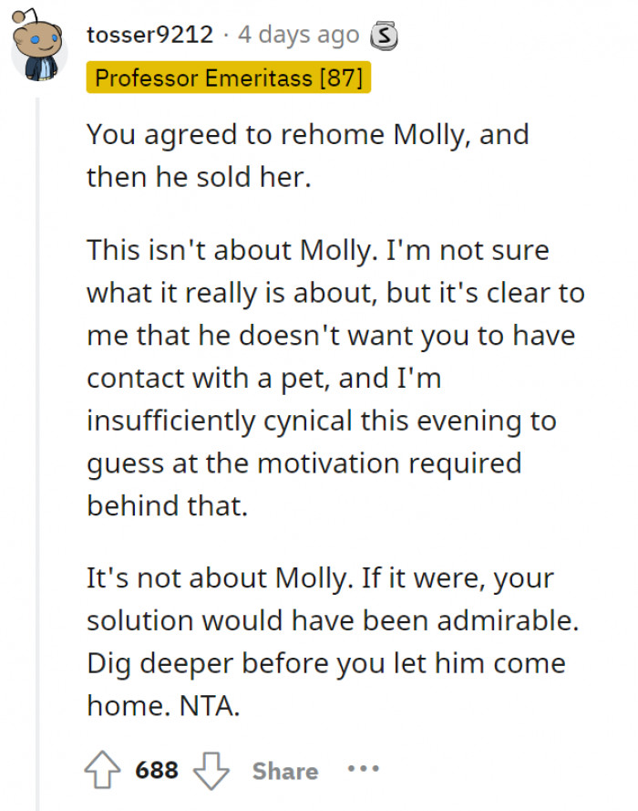 There is more to this incident. It’s not just the cat!!!