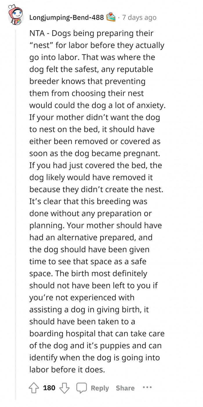 #5 Expensive furniture as the dog's birthing nest.