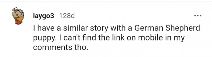 4. This redditor has the same story with his pup