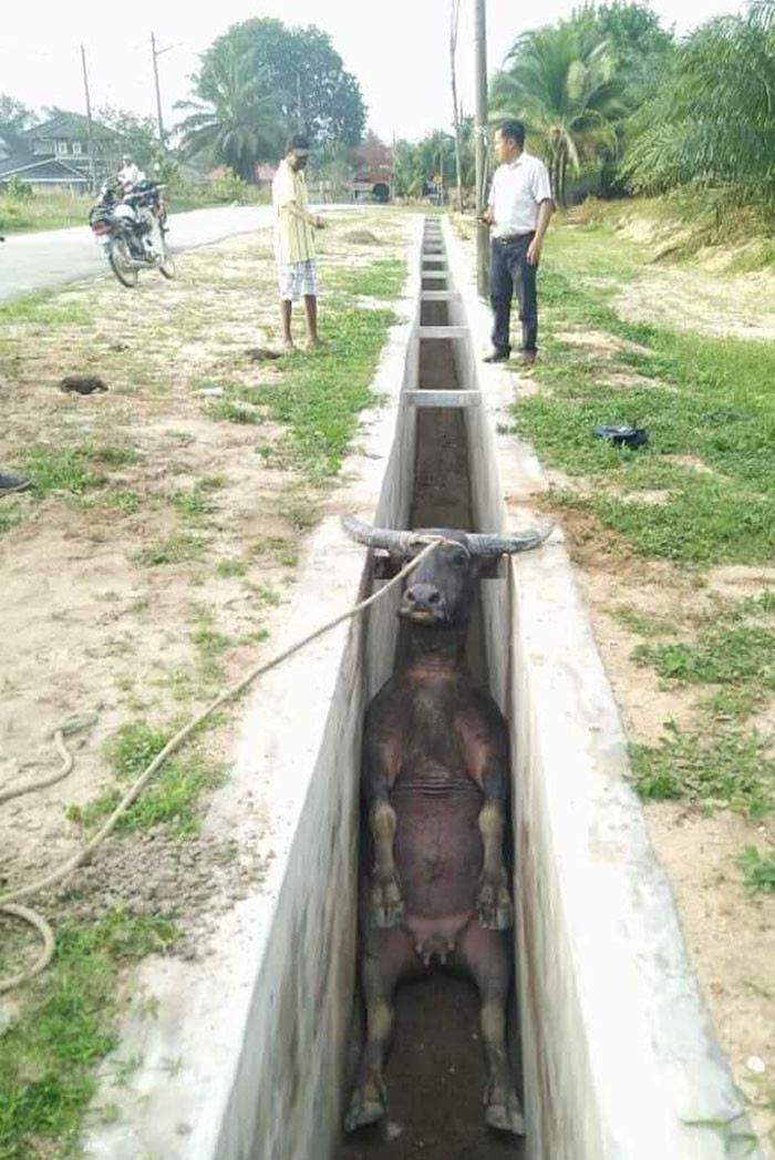 14. Where Should I Go?