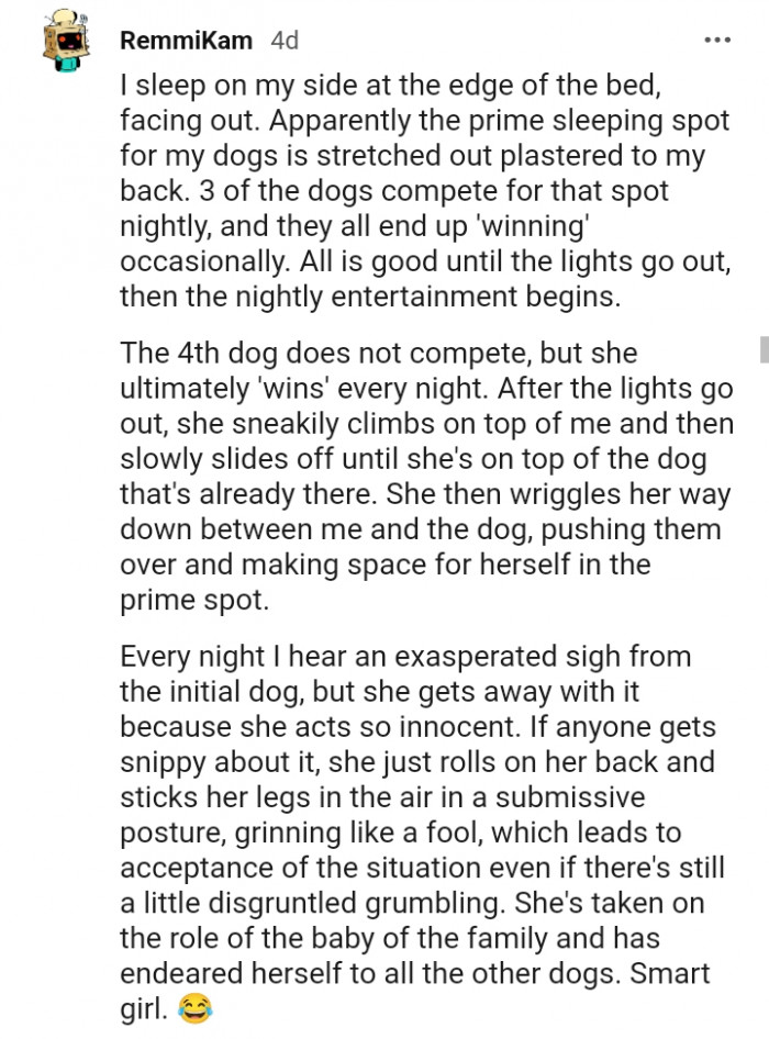 29. This is a wholesome story