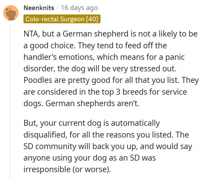 10. This person agrees with OP but recommends a poodle instead of a German Shepherd