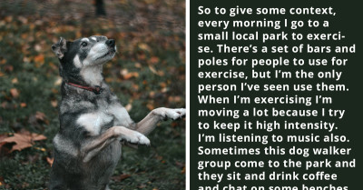 Person Accidentally Gets Park Goers' Dogs Wound Up, and the Dog Owner Comes to Complain to Him About It