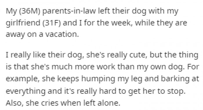 OP loves the dog, but it turned out that this dog was going to be a lot of work.