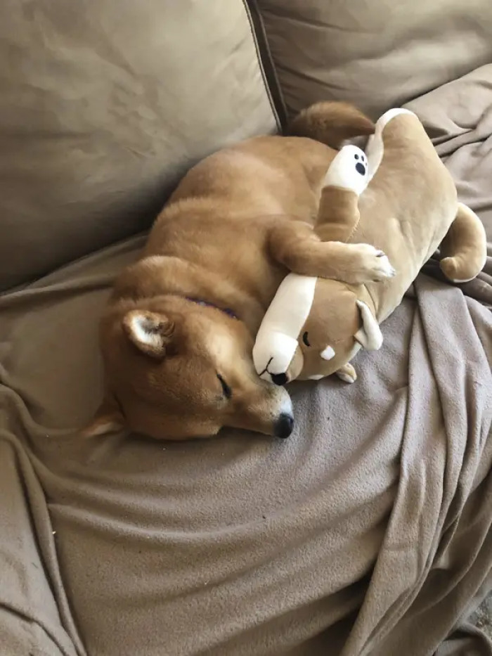 6. They can be the sweetest things ever, and they give the best hugs!