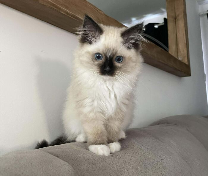 19. "Our Newest Addition"