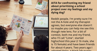 Redditor Is Enraged That His Friend Prioritized Their School Project Over His Feelings About His Dying Dog