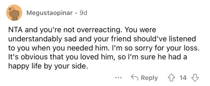 "Your friend should have listened to you when you needed him."
