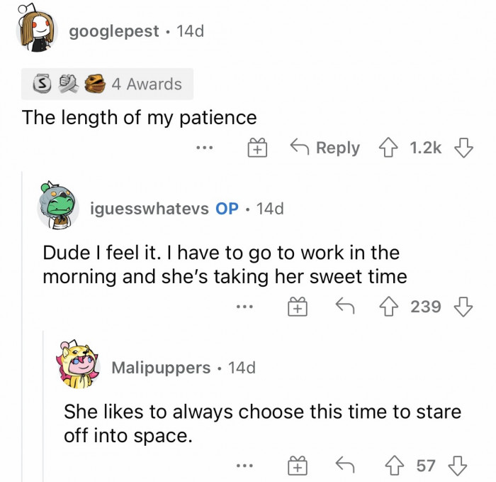 #1 These are just one of those moments where dogs test their hooman's patience.