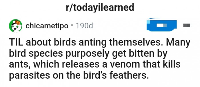 Redditor u/chicametipo has an interesting piece of information to share with the TodayILearned subreddit group