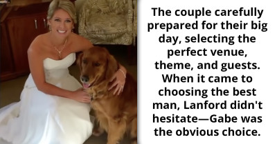 Beloved Golden Retriever Selected As The Honorary Companion At Wounded Veteran's Wedding