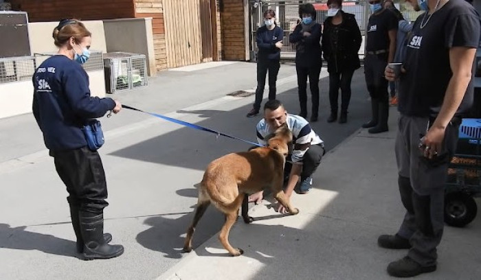 Bandit went missing one day and his owner Farid was devastated