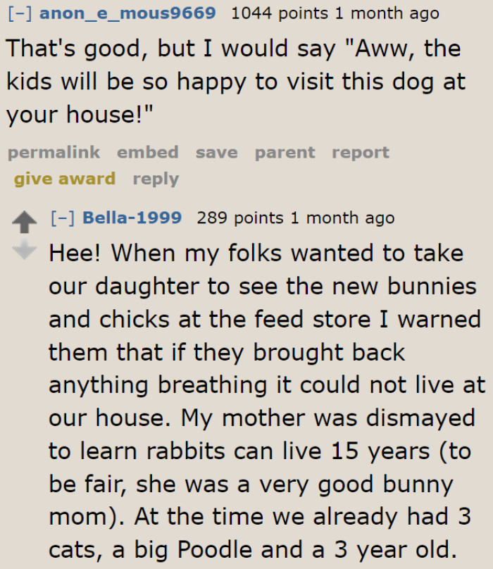 What the OP needs to say if her parents end up getting her kids a dog