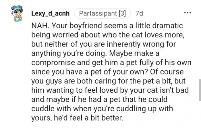 Make a compromise and get him a pet