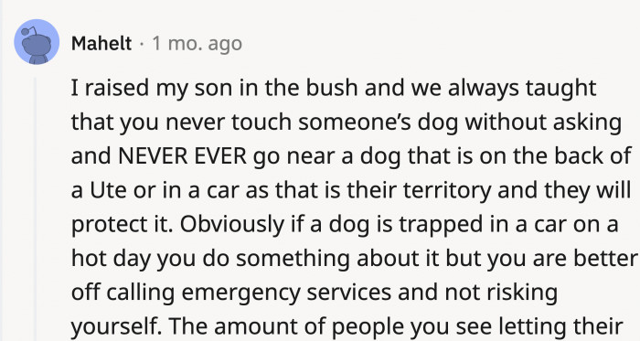 They are very territorial; it's in their nature, and they might think you're a threat.