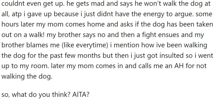 When their mother arrived home and asked if the dog had been taken out for a walk, his brother blamed OP for not walking the dog. OP mentioned how he had been walking the dog for the past few months but ultimately felt insulted and went to his room.