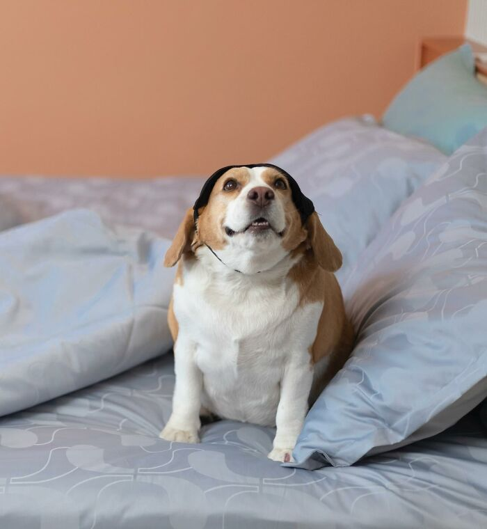 26. “He’s about to drop the most emotional ballad of 2025.”