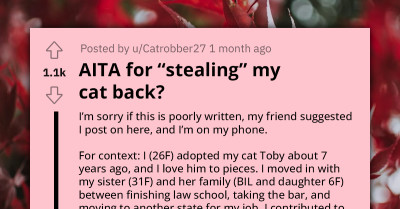 Woman And Her Cat Stay At Sister's House, She Is Forced To 'Steal' The Cat Back As Niece Claims It As Her Own