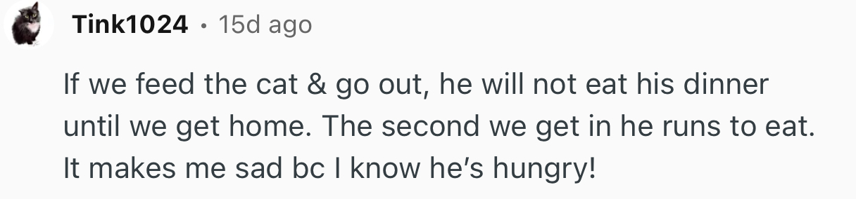 “If We Feed The Cat And Go Out, He Will Not Eat His Dinner Until We Get Home.”