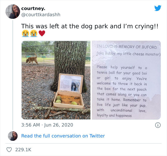 15. Live life just like your pup with unconditional love, loyalty and happiness