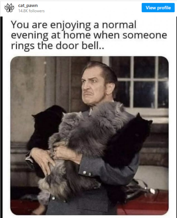 9. When someone interrupts your time with your furry babies