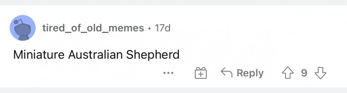 A miniature anything is super cute, but clearly, this one is superior.