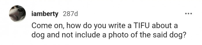 4. How do you not include a photo of the said dog?