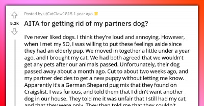 Redditor Gets Rid Of Partner's Dog Because It Tore Their Precious Stuffed Care Bear Toys To Shreds