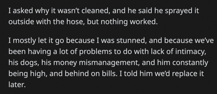 Her boyfriend said he tried to clean it by spraying it with a hose but decided it was a lost cause. OP had to let the issue go because it's just one of the many problems they have been having.