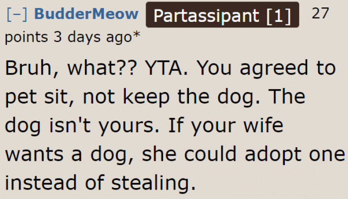 Just Adopt a Dog Already!