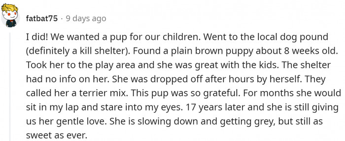 17 and still sweet as ever