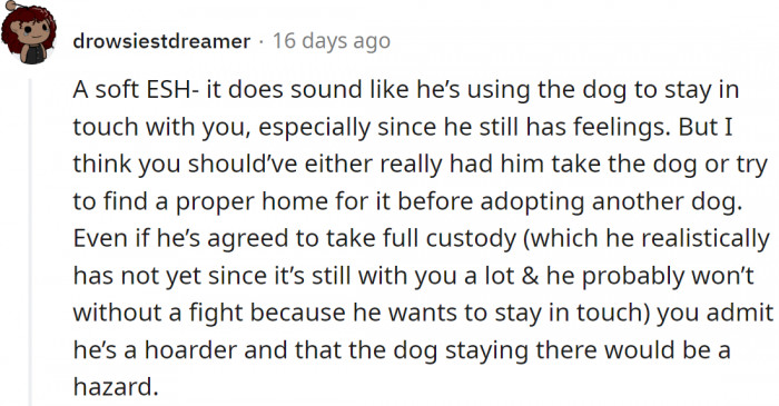 She should try to find a pleasant home for her old dog before she adopts a new one.