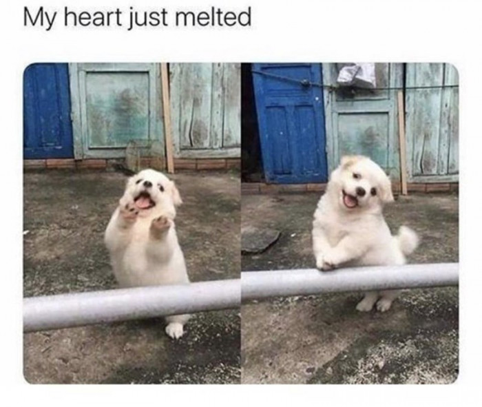 17. Hey there! How are you doing?