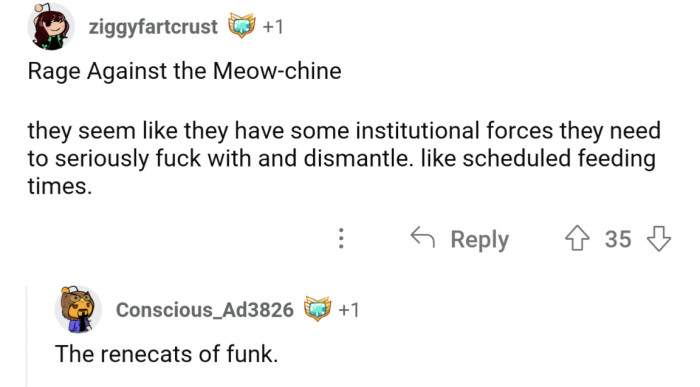 15. Rage Against the Meow-chine