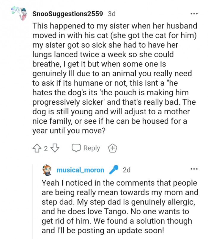 19. The dog will adjust to a new family