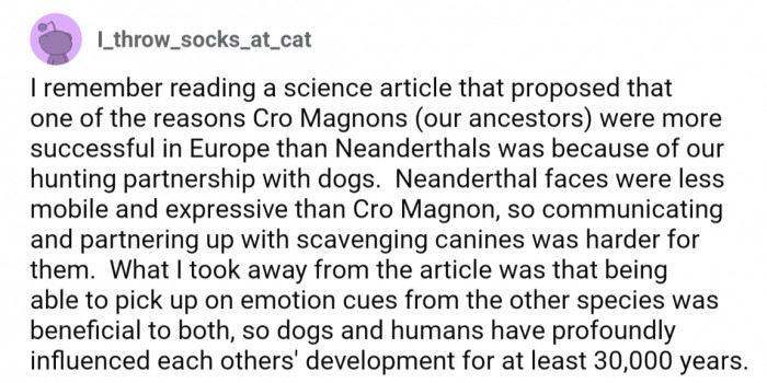 Social emotional cues were benefical to everyone