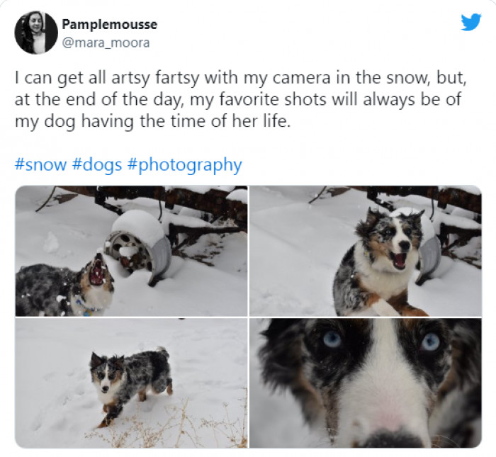 8. Isn't that the best kind of picture? Of course it is