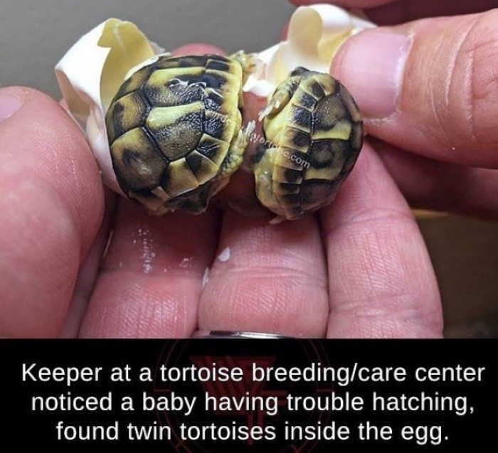 15. The world is blessed with these two precious babies.