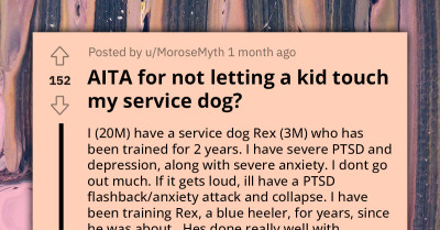 Redditor With Service Dog Attacked By Entitled Mother Who Insisted Her Golden Child Should Be Allowed To Pet The Dog
