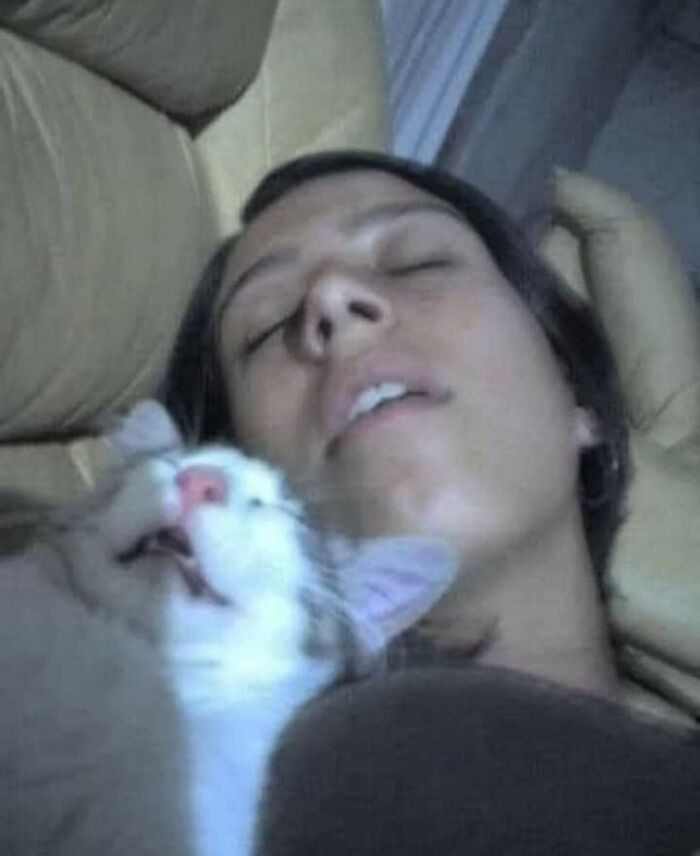 4. The evidence is clear