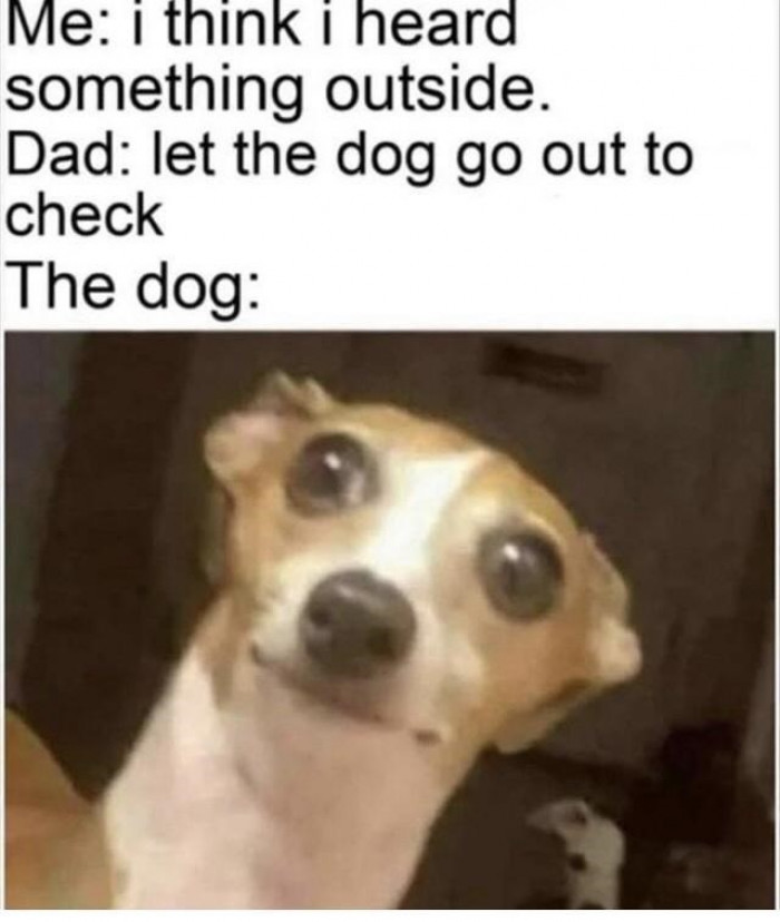 8. Uh, are you by any chance referring to me?