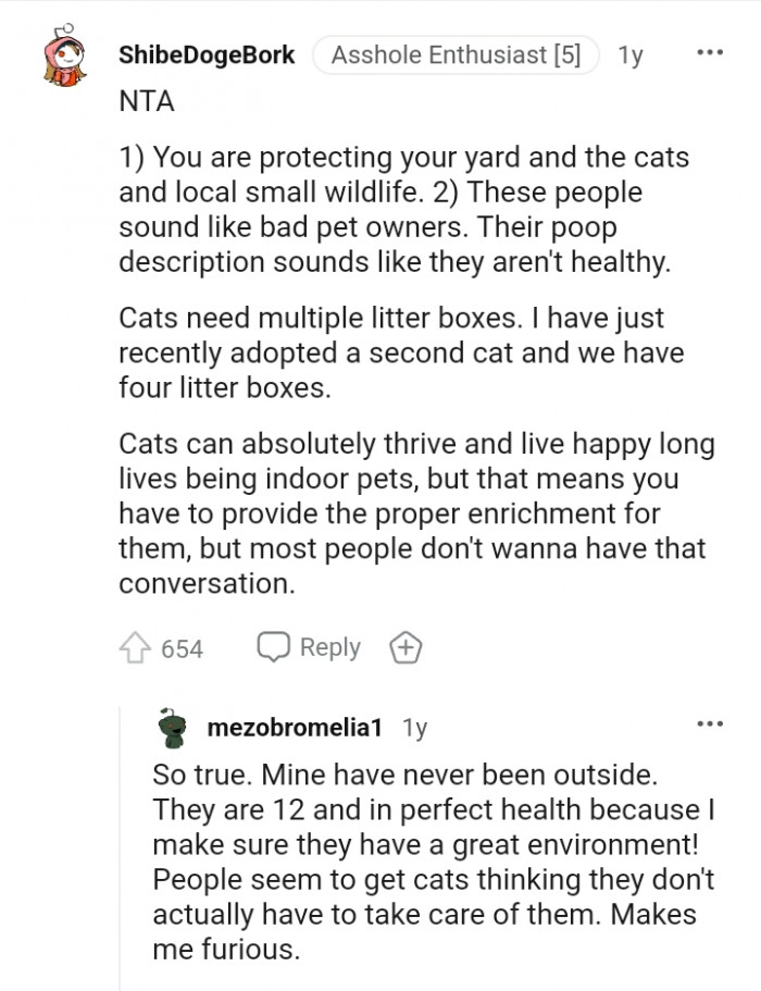 Their poop description sounds like the cats are not healthy