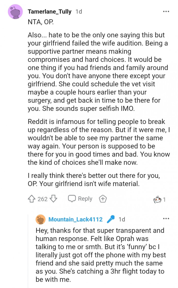 She could the vet visit some hours earlier