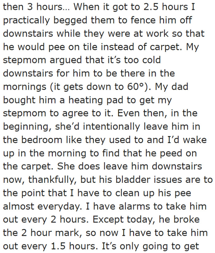 With Its Kidney Problems, She Needs to Take the Dog Out to Pee Frequently.