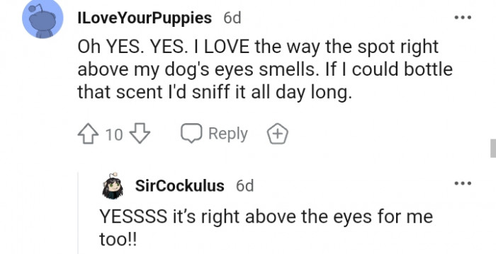 13. It's right above the eye for me