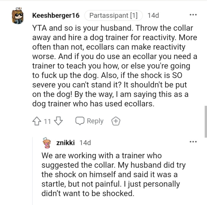 You Need a Trainer to Teach You How to Properly Use a Shock Collar