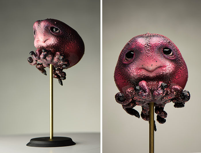 17. Here is a Baby Octopus