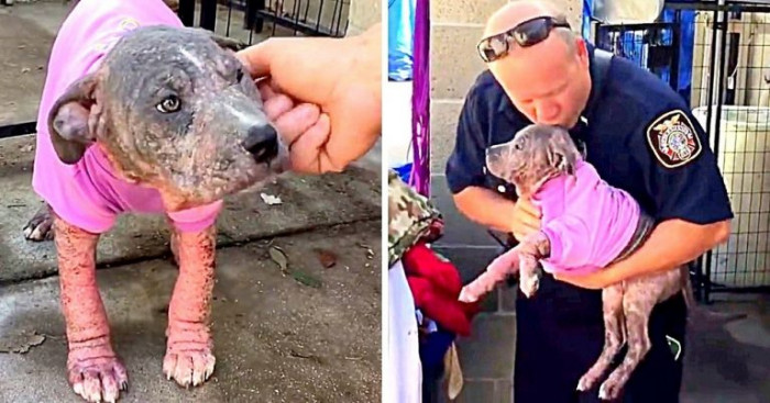 Mike’s heart melted when Chunk leaped out of the kennel to greet him!