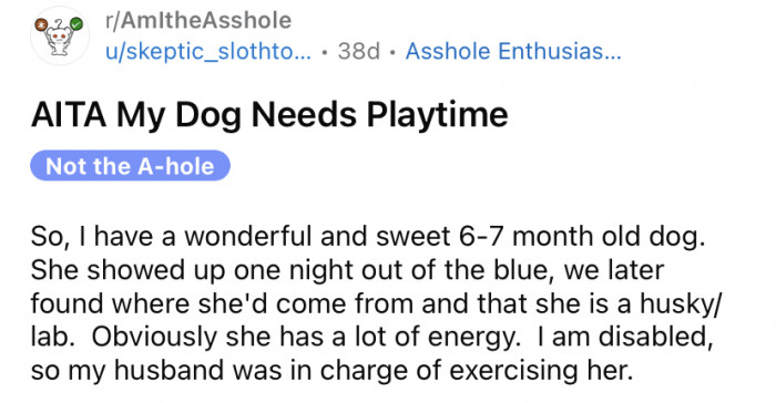 The Redditor recently shared her story explaining that she has a beautiful 6-7-month-old Husky/Labrador pup that she adores.