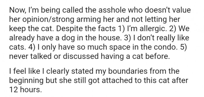 I clearly stated my boundaries from the beginning, but she still got attached to this cat